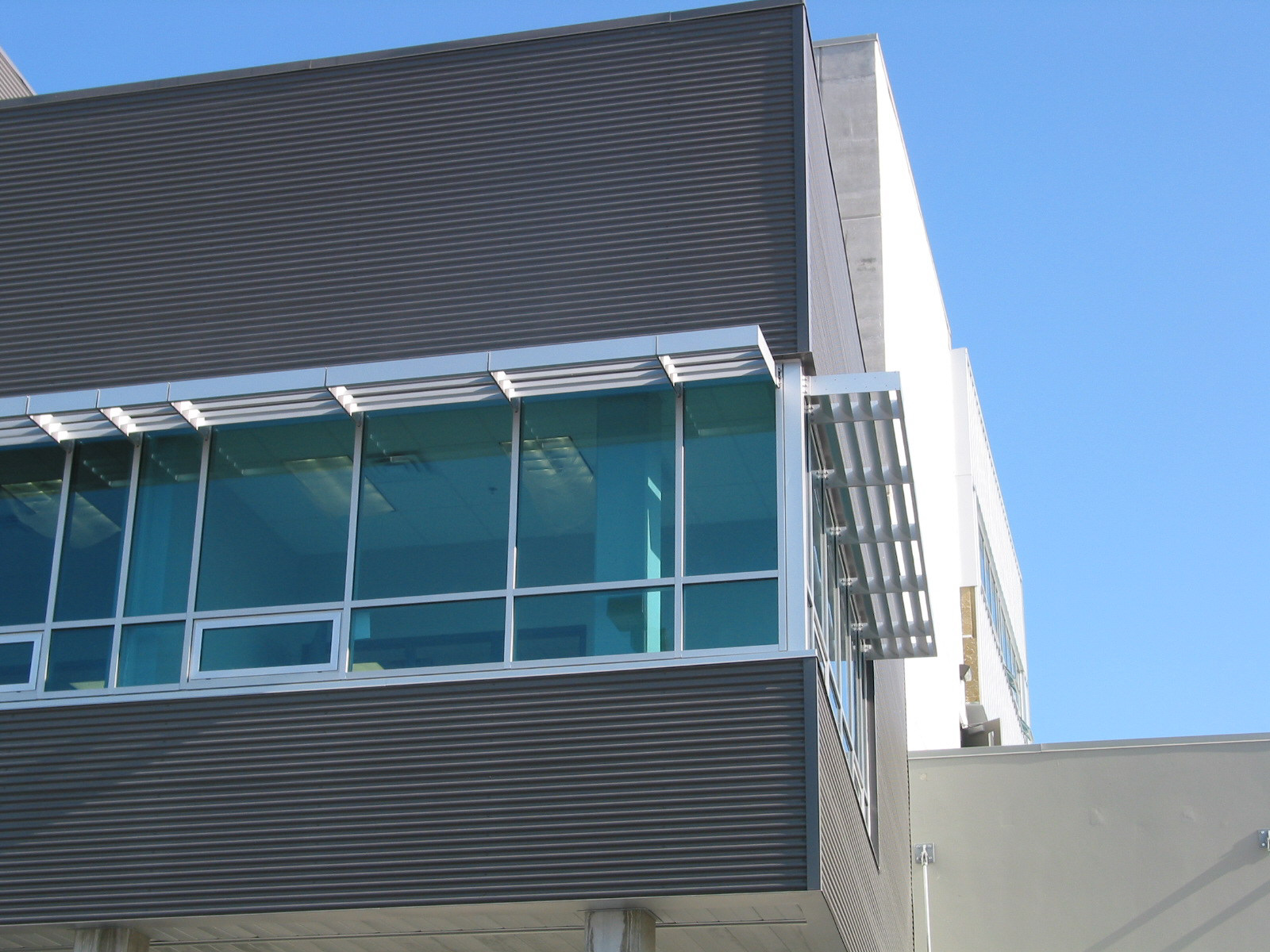 McGill Sunshades
